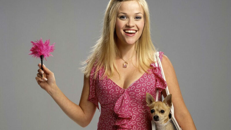 6 Things You May Not Know About ‘Legally Blonde’