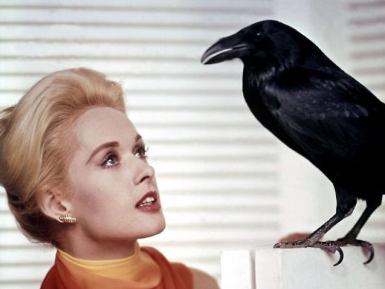 Tippi Hedren.