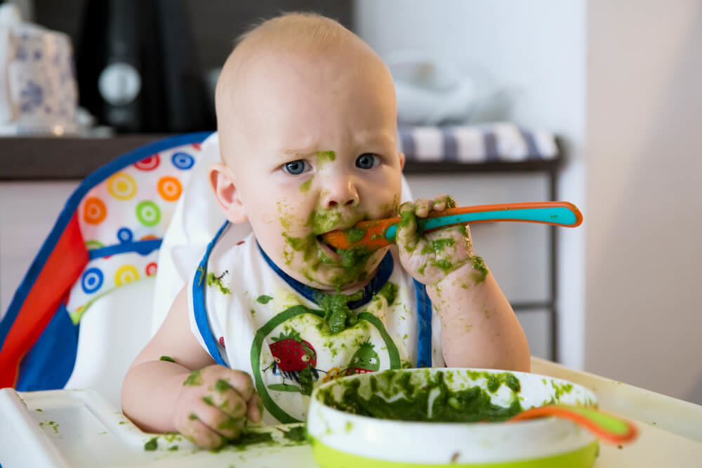A human baby will have more taste buds than an adult