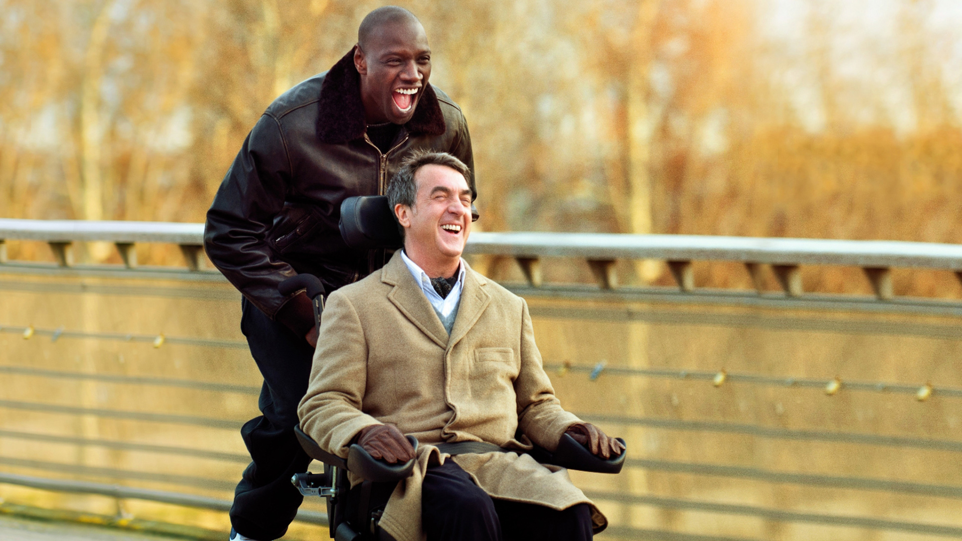 The Intouchables (2011)