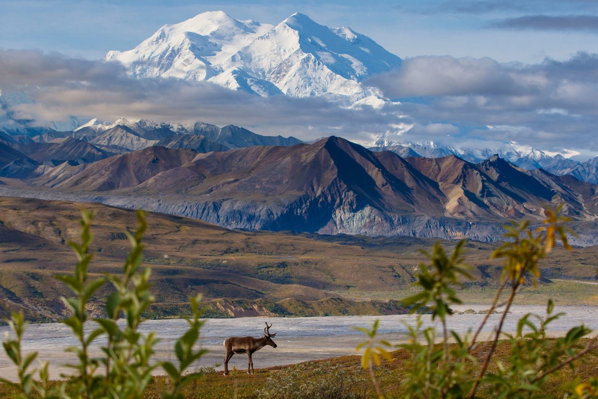 Denali National Park, Alaska