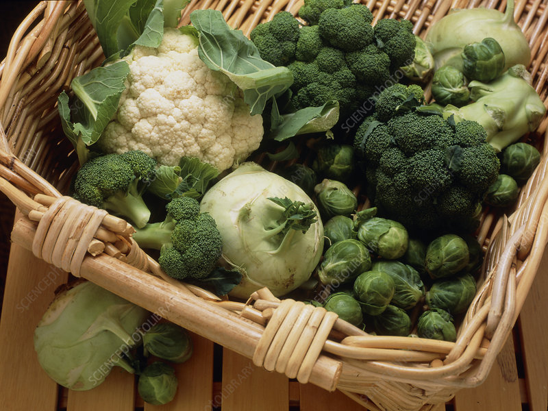 Cruciferous Vegetables