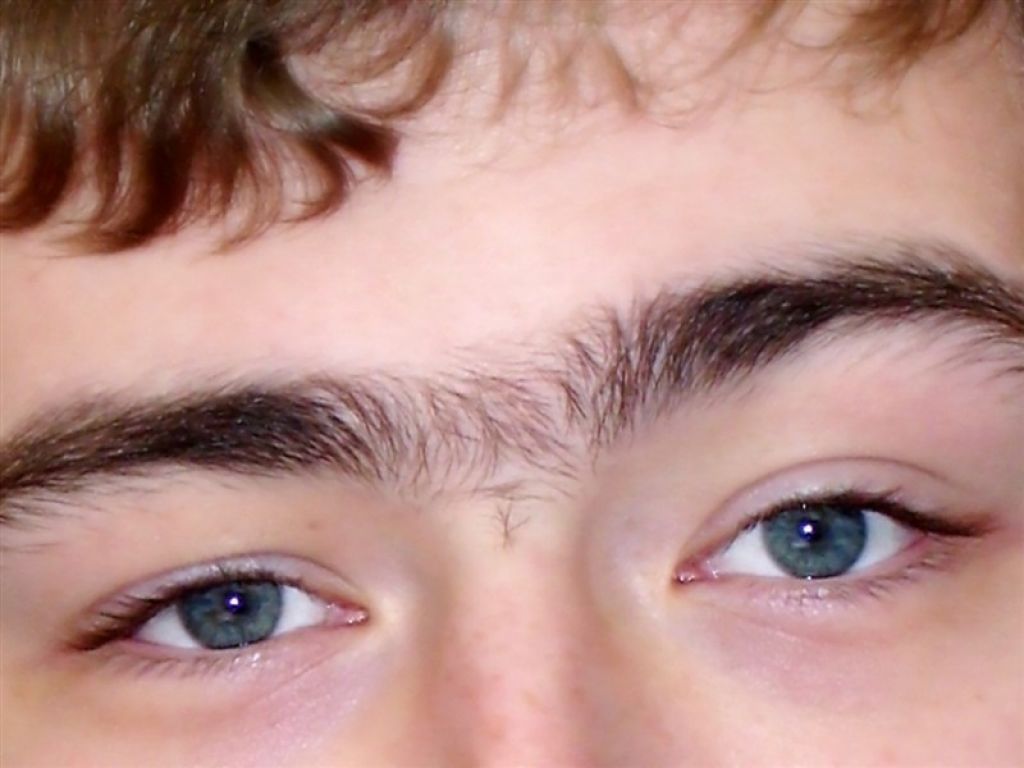 The average person has around 250 hairs per eyebrow