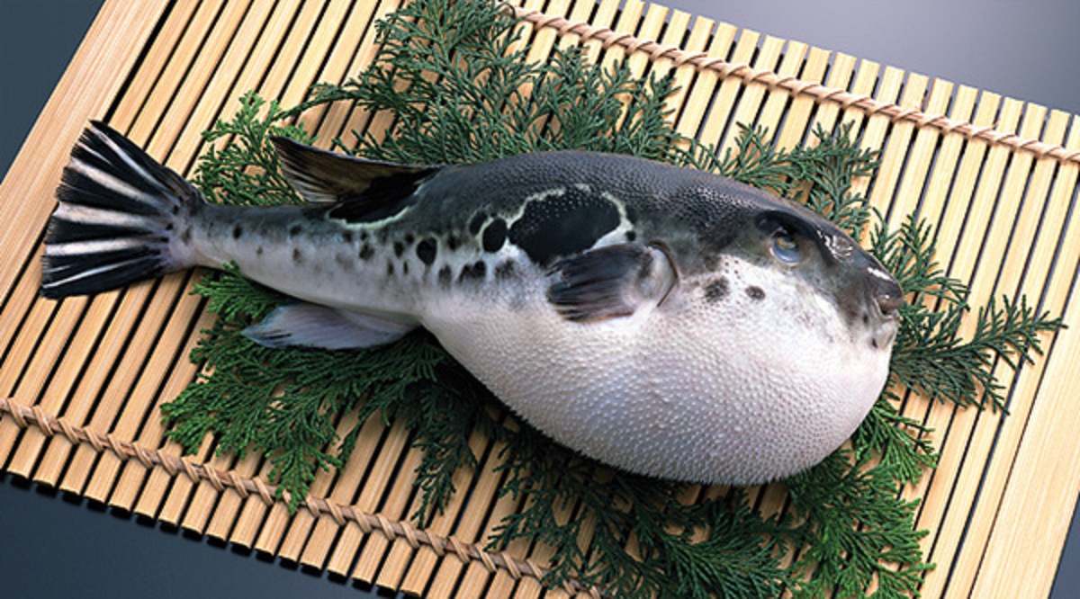 Fugu