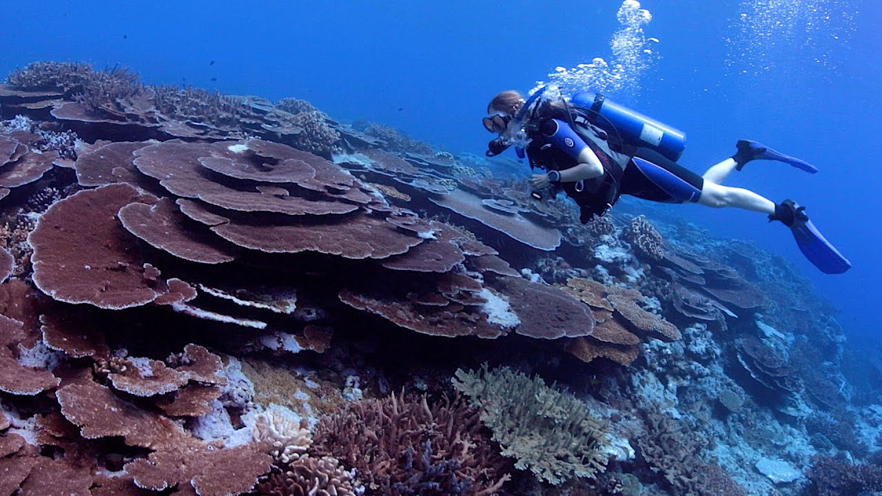 National Marine Sanctuary of American Samoa