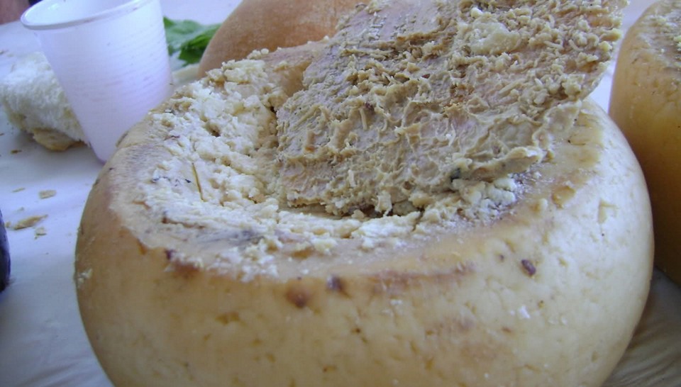 Casu Marzu