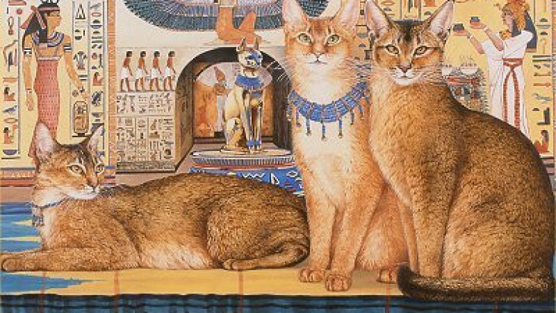 The Ancient Egyptians were cat crazy