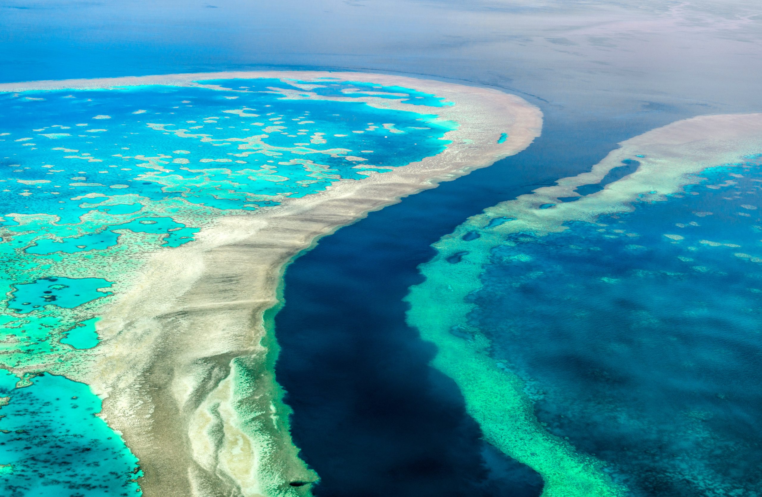 The Florida Barrier Reef