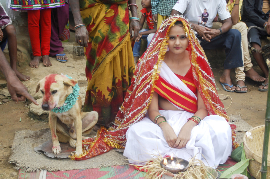 Exorcise Ghosts by Marrying Animals | India