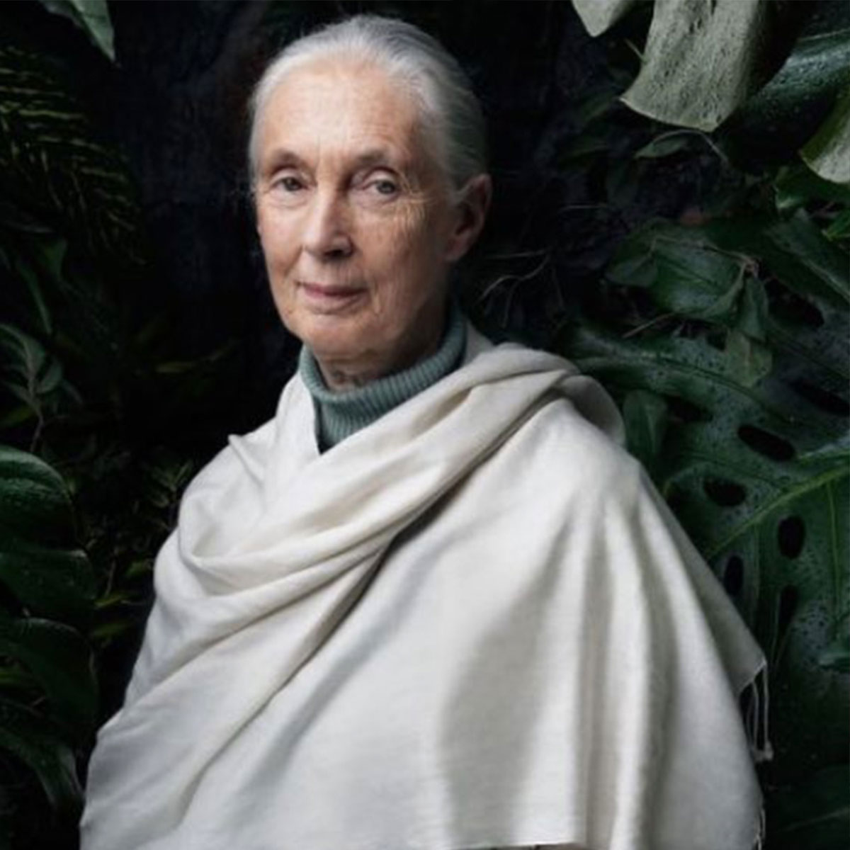 Jane Goodall