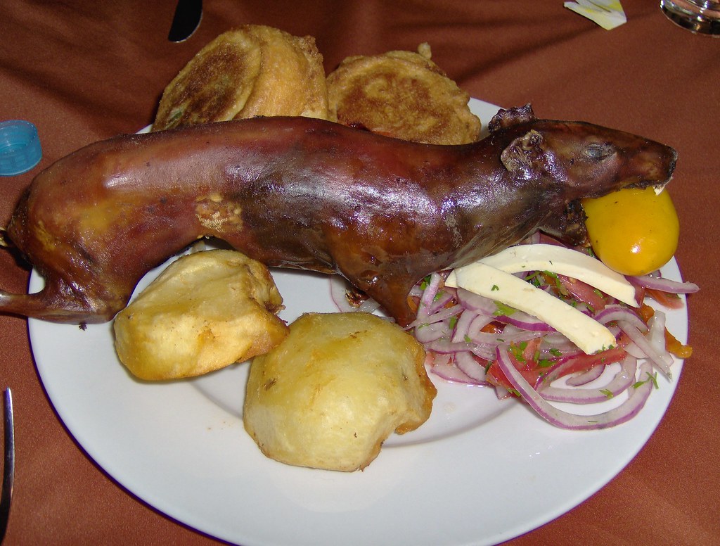 Cuy Guinea Pig (Peru)