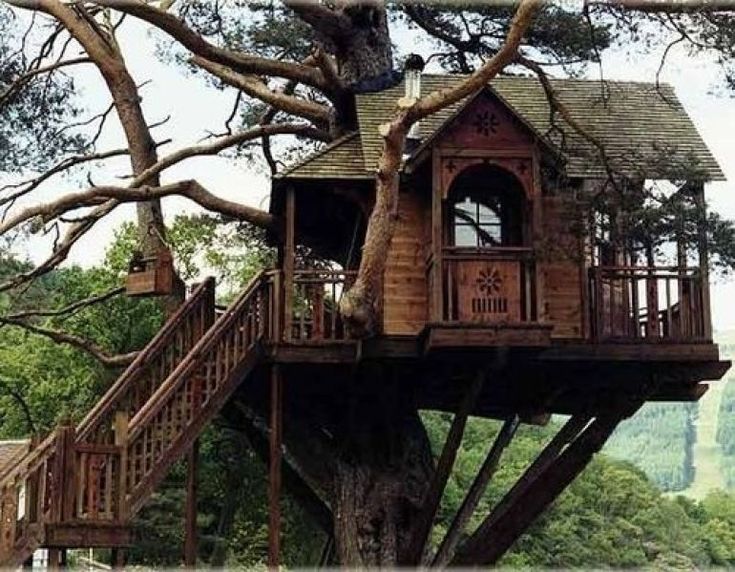 The Tree House – The Lodge, Scotland, UK