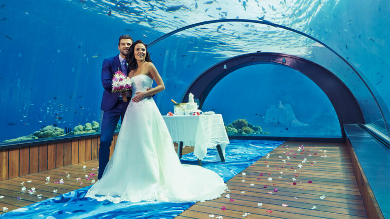 Top 7 Unusual Wedding Venues for Quirky Couples