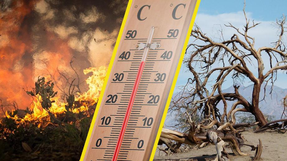 The Last Decade Was the Hottest in 125,000 Years