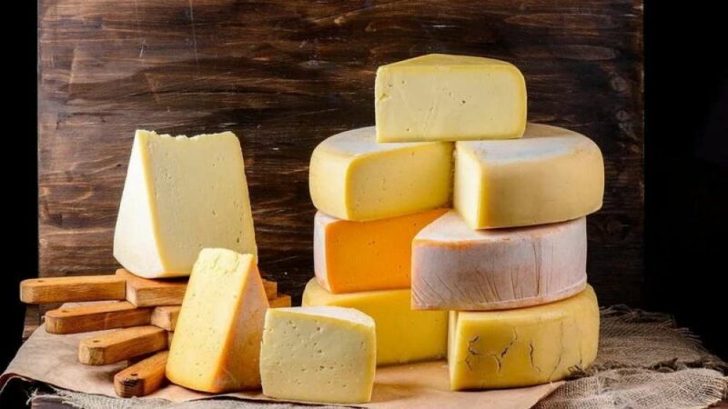 14 Fun Facts About Cheese That Will Blow Your Mind