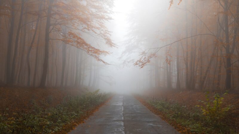 10 Interesting Facts About Fog