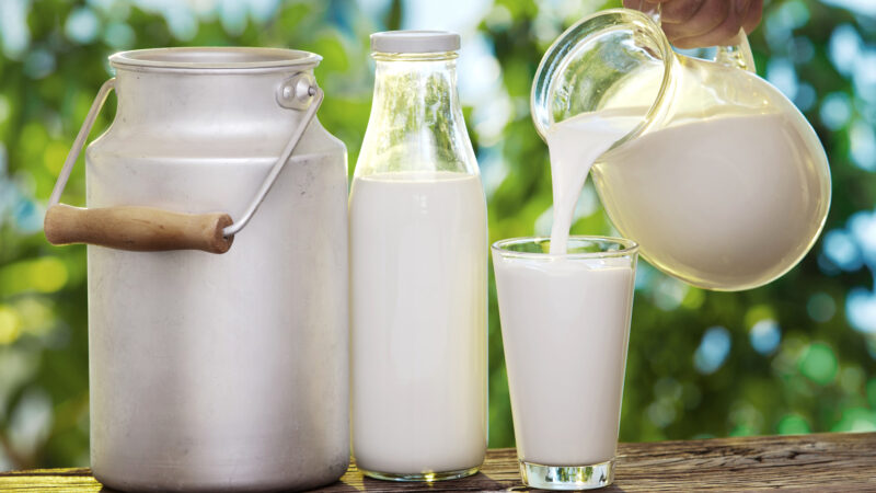 11 Tasty Facts About Milk That You May Not Know