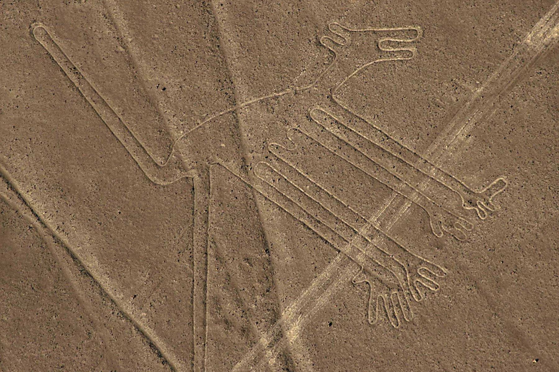  Nazca Lines, Peru