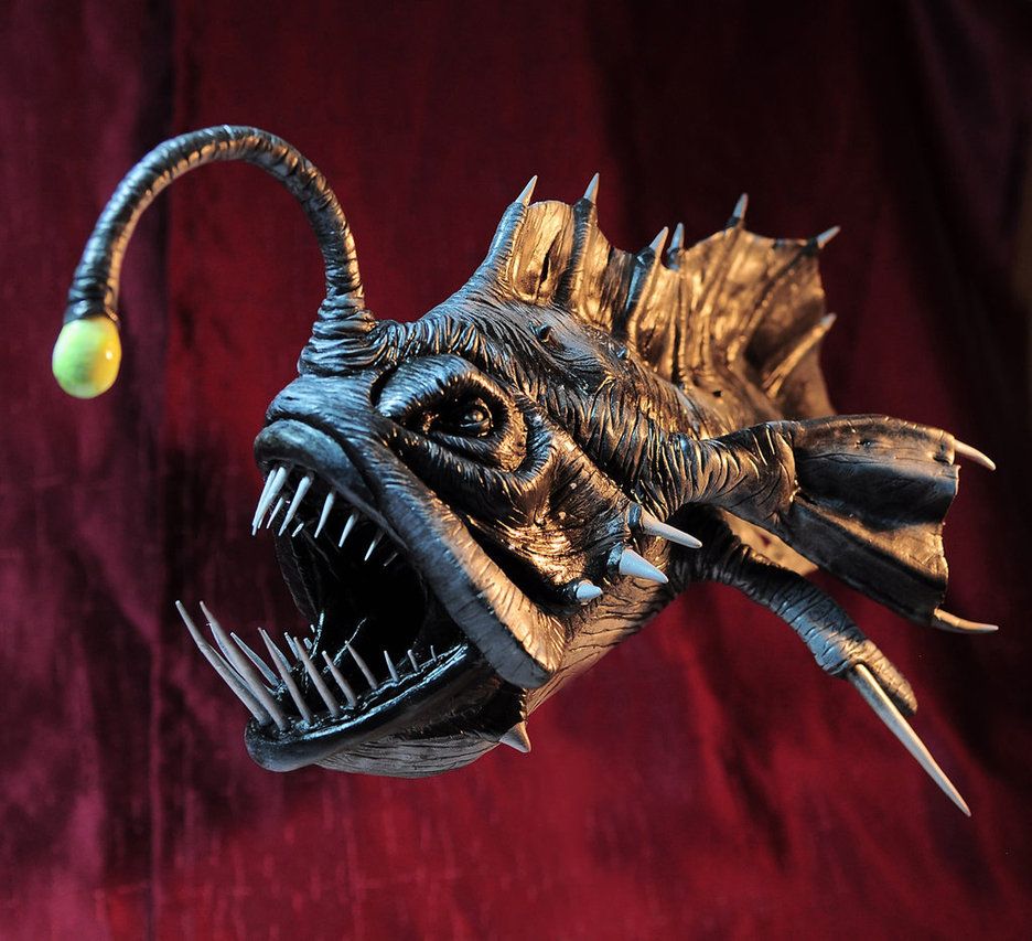 All anglerfish are carnivores and ferocious predators