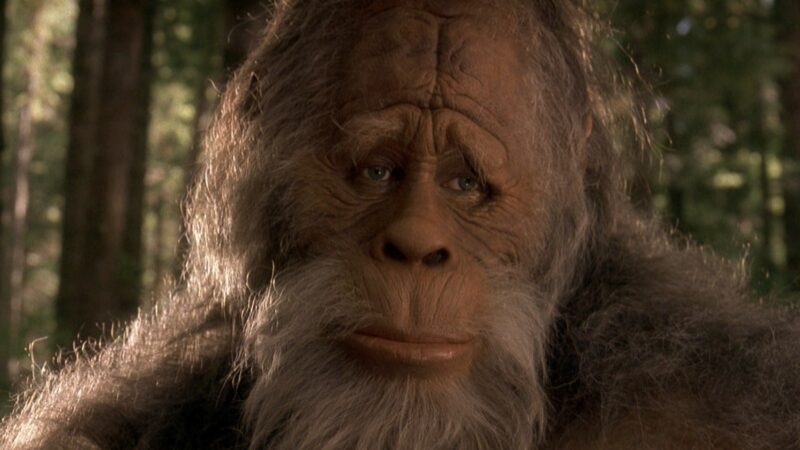 15 Interesting facts about Bigfoot